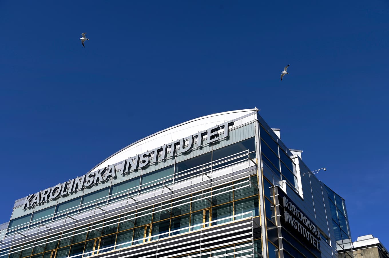 Karolinska institutet på plats 55 i global rankning, två placeringar sämre än i fjol. Arkivbild. Foto: Janerik Henriksson/TT