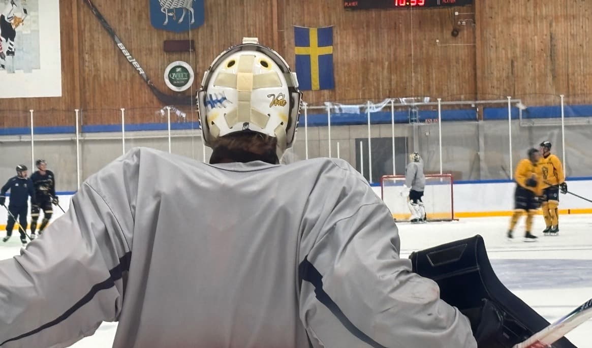 Ett utarmande av svensk klubbhockey skulle på sikt försämra kvaliteten i NHL, menar Epoch Times sportchef Jonas Arnesen. Foto: Jonas Arnesen