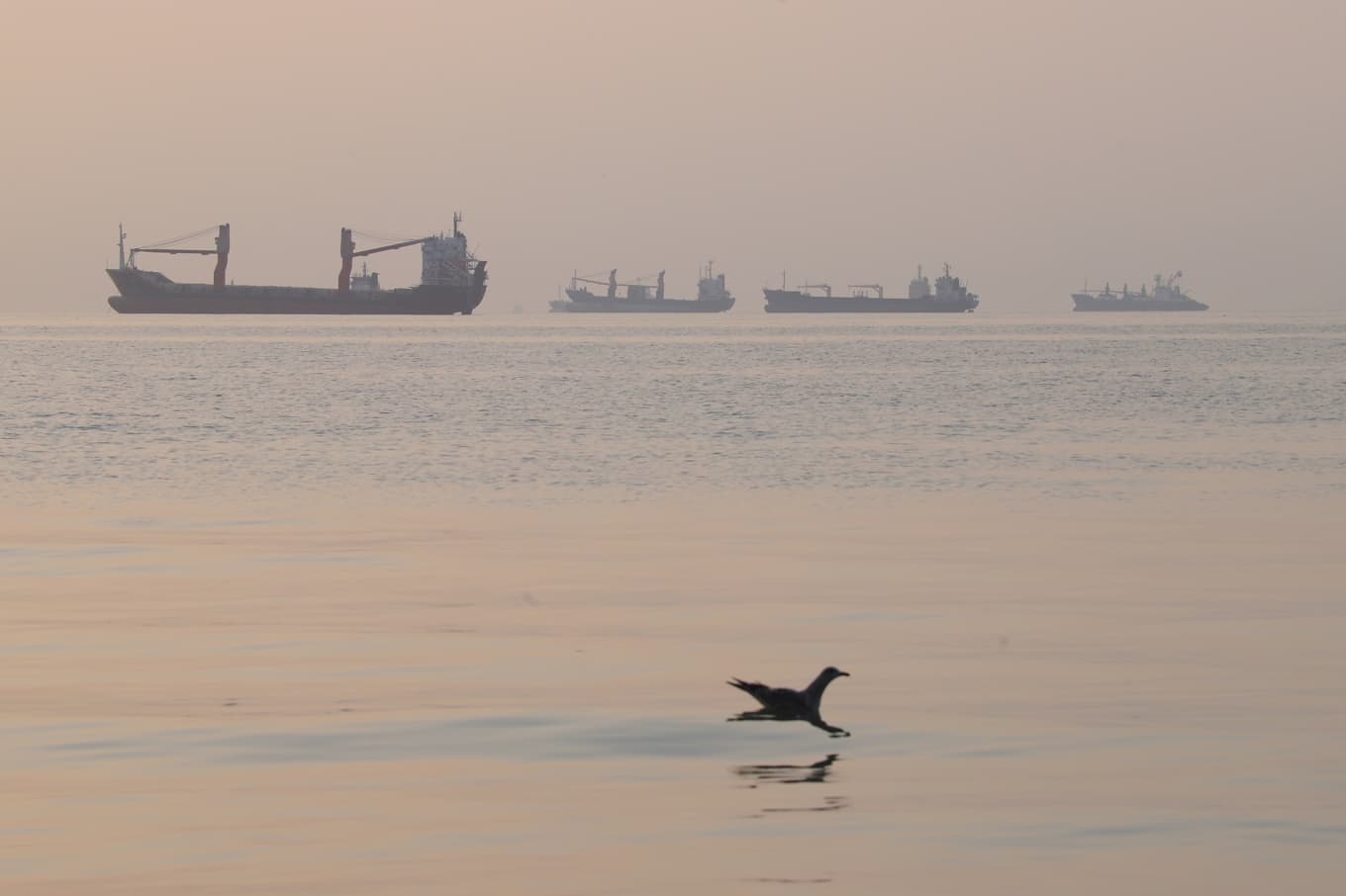 Många fartyg vågar inte passera genom Hormuzsundet. Här ligger några för ankar vid Bandar Abbas i Iran. Foto: Amirhosein Khorgooi/Isna via AP/TT