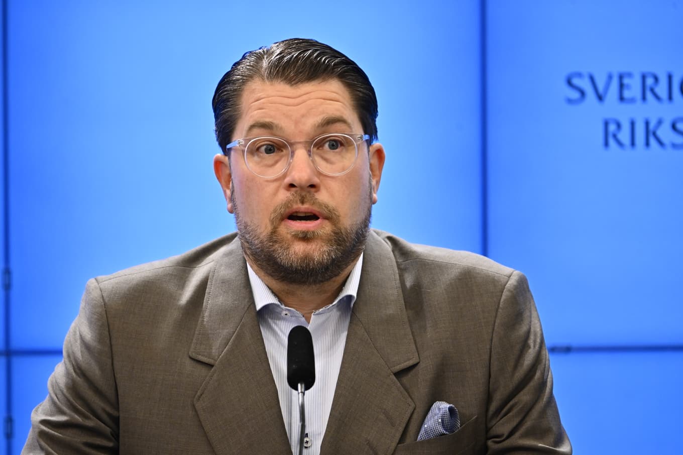 Sverigedemokraternas partiledare Jimmie Åkesson (SD) ryter ifrån. Foto: Anders Wiklund/TT