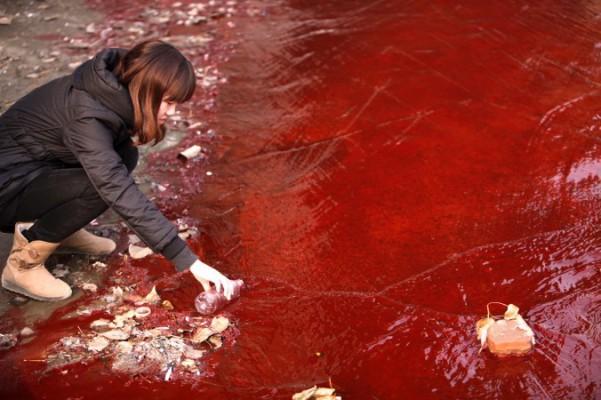 En kvinna tar prov från det röda förorenade vattnet i utflödet från ett avlopp i Jian-floden i Luoyang i Henanprovinsen, norra Kina, 2011. (Foto: STR/AFP/Getty Images) 
