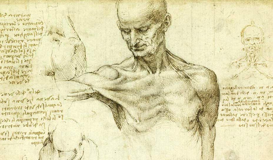 Leonardo da Vinci, "Studier av en axel" (detalj).