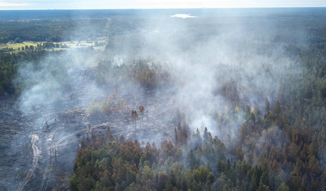 Skogsbränder pågår på många håll i landet. Foto: Andreas Hillergren/AP/TT. Arkivbild.