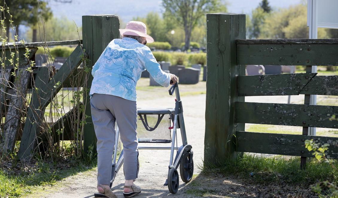 Regeringen vill se en särskild lag om äldre och äldreomsorgen. Foto: Gorm Kallestad/NTB-Scanpix/TT-arkivbild