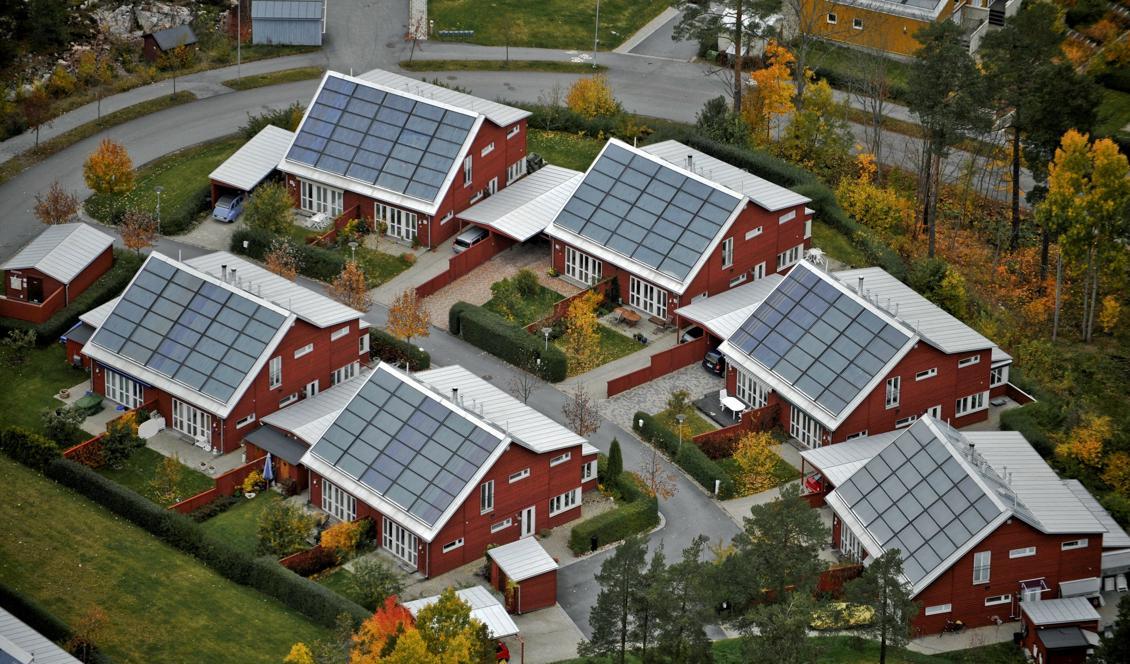 Rekordmånga soltimmar och högre elpriser – marknaden för solpaneler växer kraftigt. Foto: Bertil Ericson/TT-arkivbild