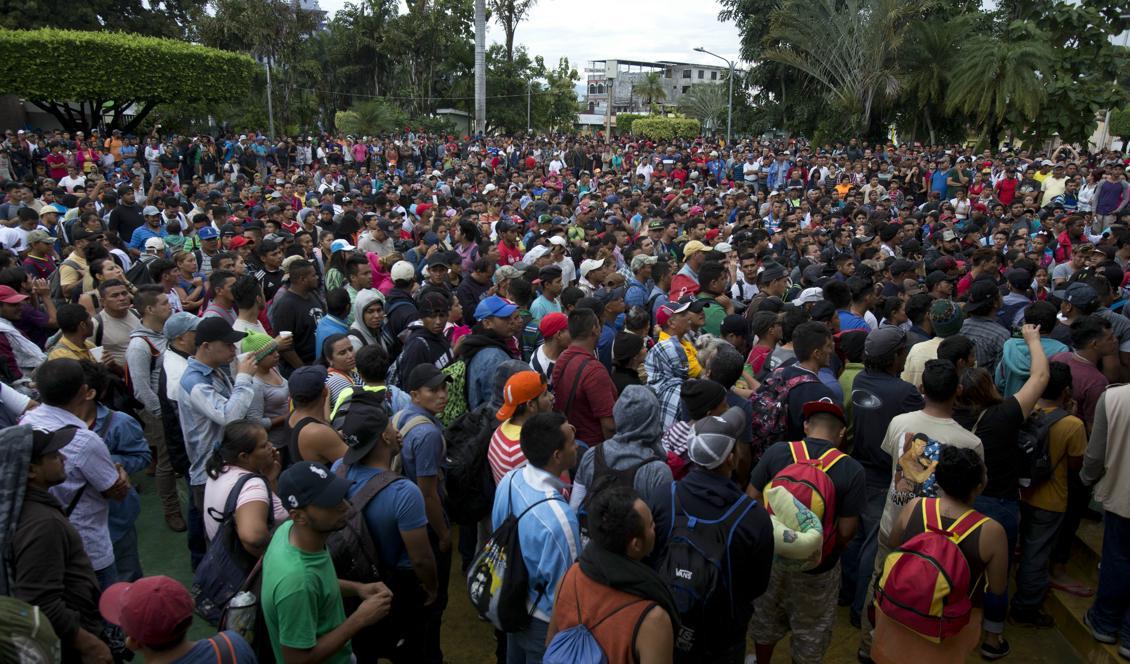 
Tusentals honduraner befinner sig vid gränsen mellan Guatemala och Mexiko. Foto: Moises Castillo/AP/TT                                            