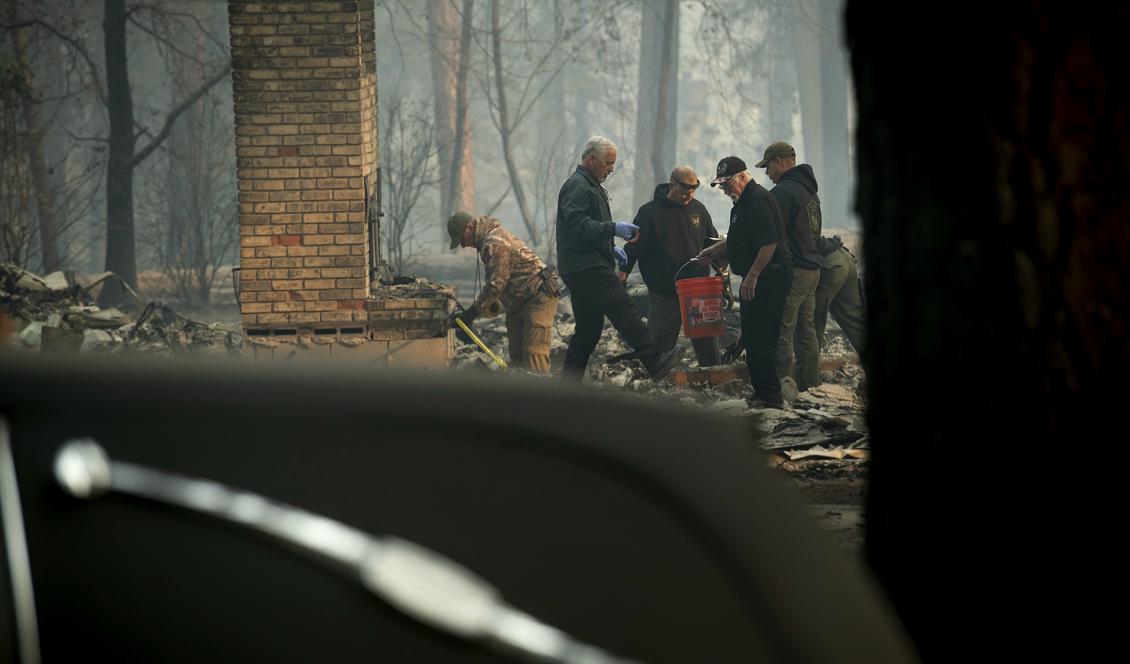 En likbil i förgrunden när räddningsarbetare letar kvarlevor i Paradise, Kalifornien. Foto: Noah Berger/AP/TT