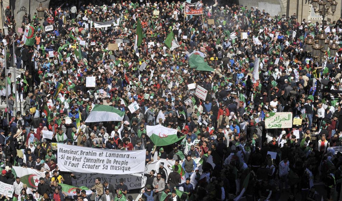 Demonstranter i Algeriets huvudstad Alger på fredagen. Foto: Sidali Djarboub/AP/TT