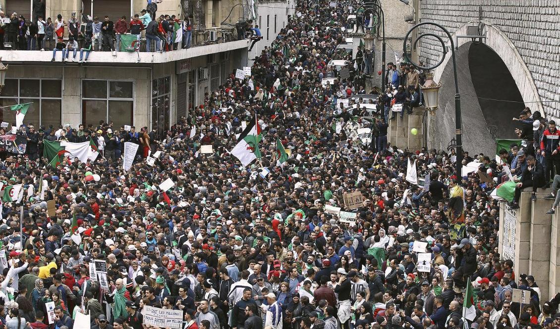 
Tiotusentals slöt upp under fredagens protester i Algeriets huvudstad Alger. Foto: Fateh Guidoum/AP/TT                                                