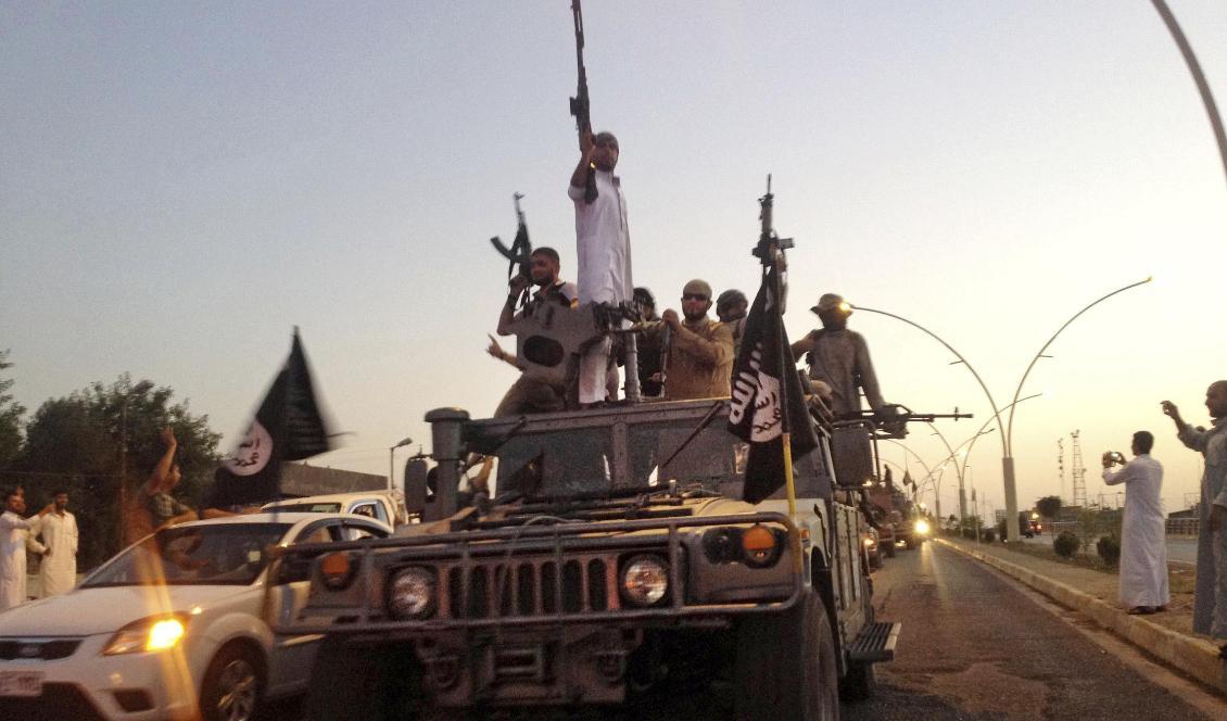 Islamiska statens krigare i Mosul i Irak 2014. Foto: AP/TT-arkivbild
