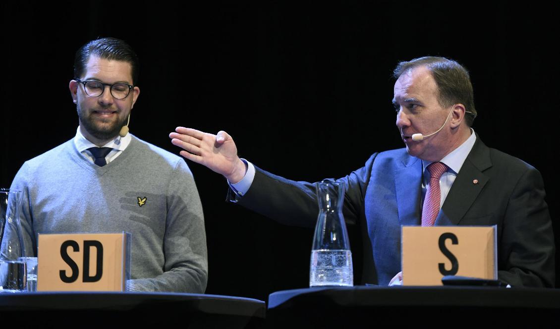 
Jimmie Åkesson och Stefan Löfvens partier kan bli lika stora i EU-parlamentet. Foto: Erik Mårtensson/TT-arkivbild                                                