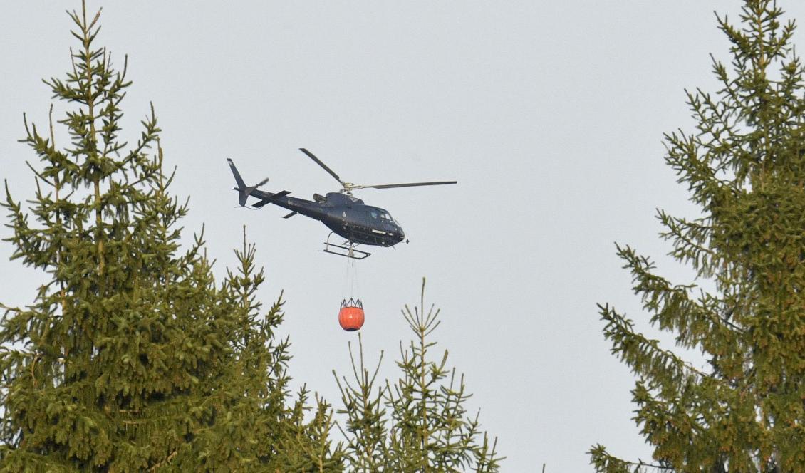 En helikopter vattenbombar en skogsbrand i skånska Hästveda. Foto: Johan Nilsson/TT