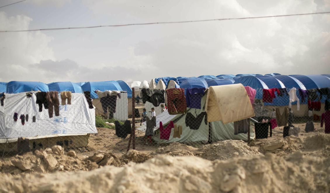 Många barn sitter i lägret al-Hol i Syrien. Upp emot ett 80-tal av dem är svenskar. Foto: Maya Alleruzzo/AP/TT-arkivbild