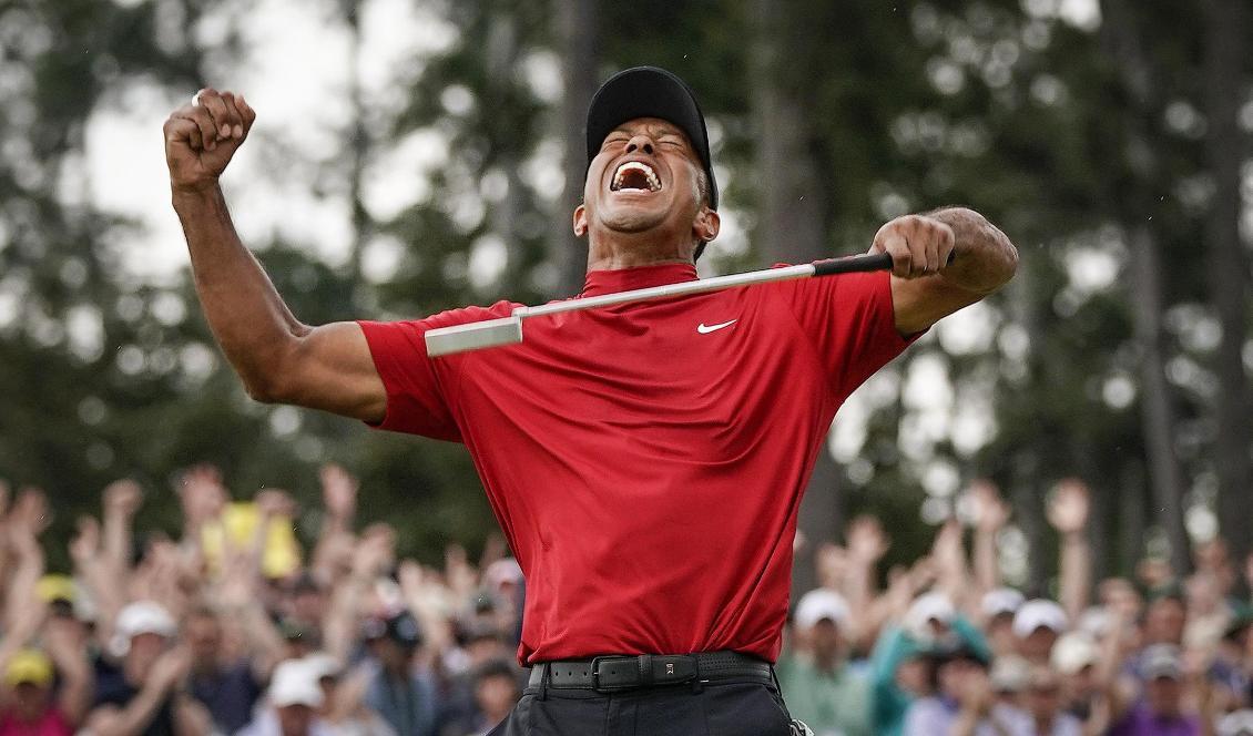 
Den 43-årige legendaren Tiger Woods skrek ut sin glädje på Augusta National Golf Club. Foto: David J Phillip/AP/TT                                                