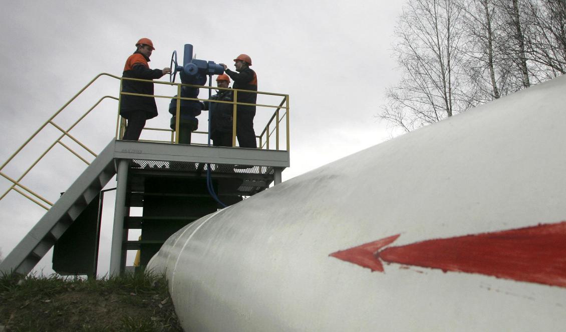 

Förorenad rysk olja har spridits i Europa via den mycket viktiga Druzjbaledningen. Här en pumpstation i Vitryssland. Foto: Sergej Grits/AP/TT- arkivbild                                                                                                