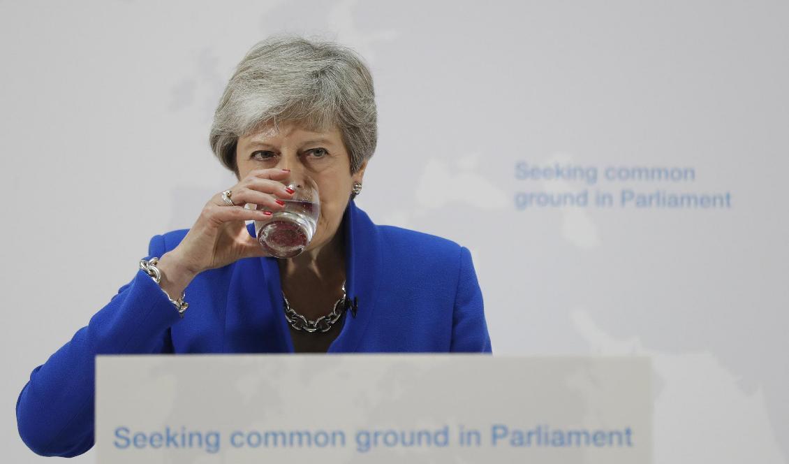 Storbritanniens premiärminister Theresa May. Foto: Kirsty Wigglesworth/AP/TT