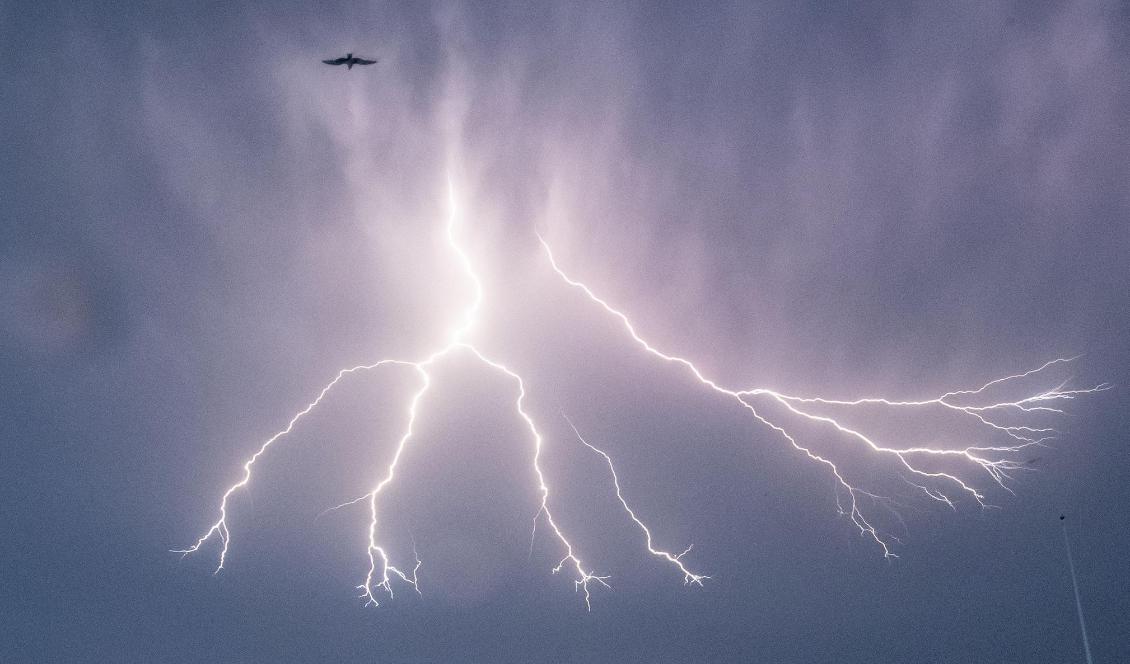 Blixt och dunder. Foto: Johan Nilsson/TT-arkivbild