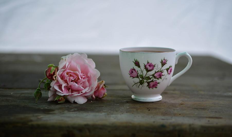 Att äta nyttigt är bra, men att inte äta alls är också bra – i alla fall för ett litet tag.