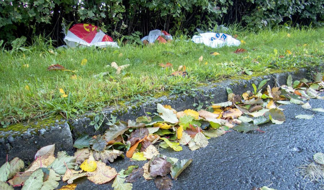 Nu ska plastpåsar, förpackningar och annat skräp bort. Foto: Gorm Kallestad/TT-arkivbild