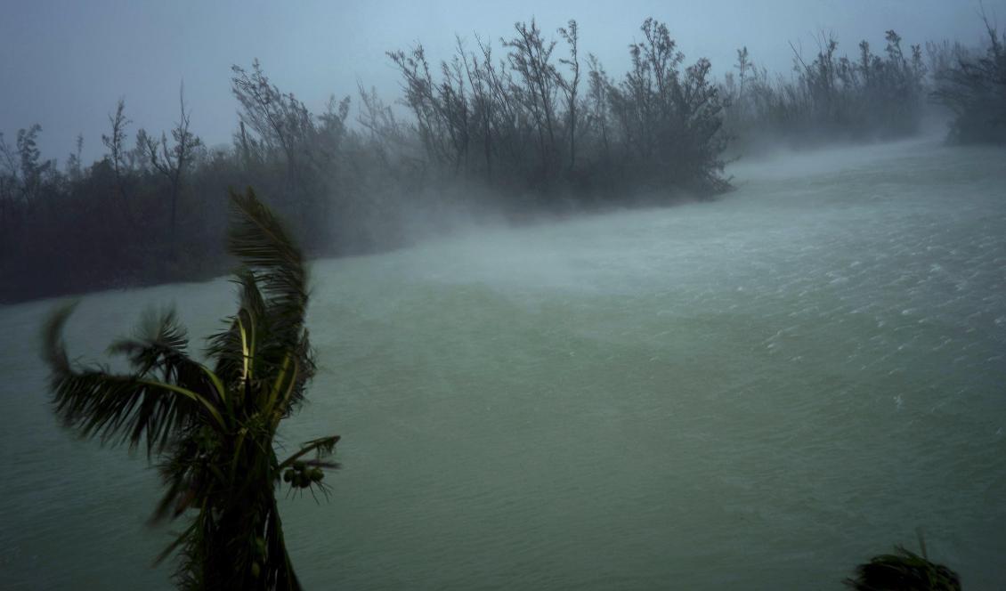 Dorians vindar piskar upp vatten i Freeport på Grand Bahama på måndagen. Foto: Ramon Espinosa/AP/TT