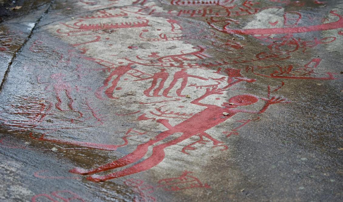 Hällristningar i Bohuslän. Foto: Fredrik Sandberg/TT-arkivbild