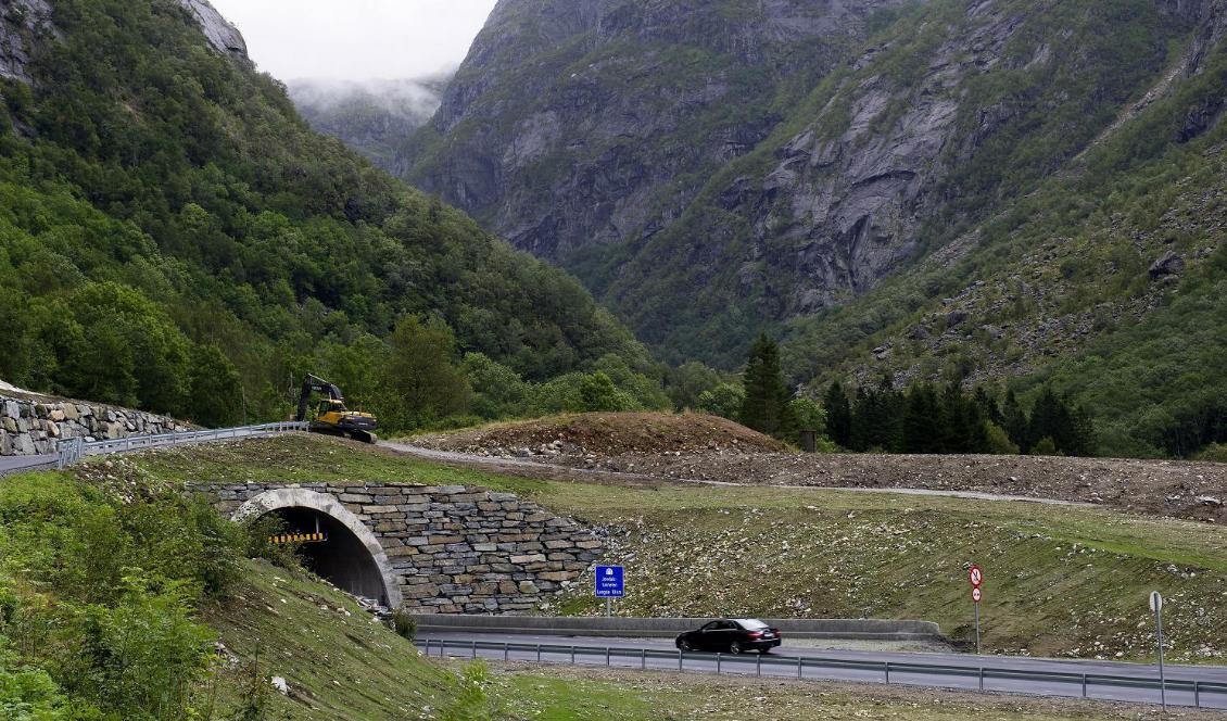 Norska vägar är trafiksäkrast i världen konstaterar OECD i en ny rapport. Här en bild från Jondalstunneln i Hordaland i Sydnorge. Foto: Marit Hommedal/NTB scanpix/TT-arkivbild