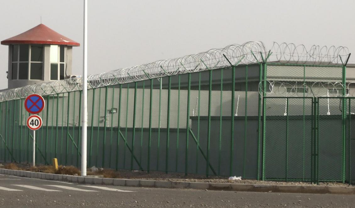 En bild från december i fjol på vakttorn, stängsel och taggtråd kring ett läger i Artux i den kinesiska provinsen Xinjiang. Foto: Ng Han Guan/AP/TT