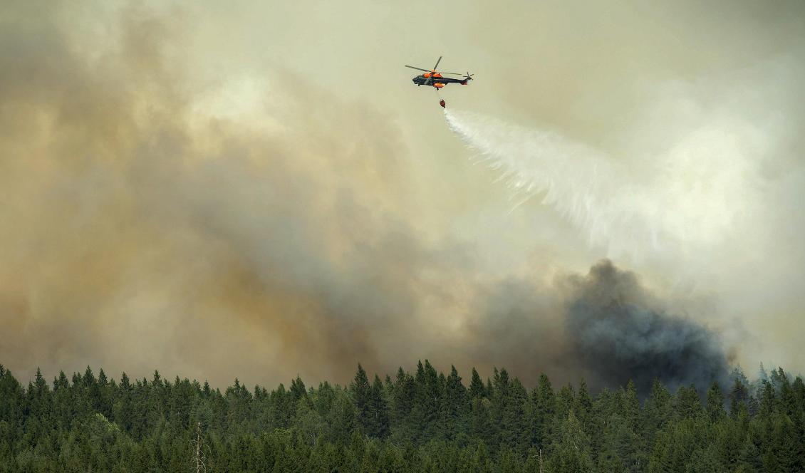 
En helikopter vattenbombar skogsbranden i Västmanland, då 14 000 hektar skog till ett värde av hundratals miljoner brann upp sommaren 2014. Fredrik Sandberg/TT-arkivbild                                                