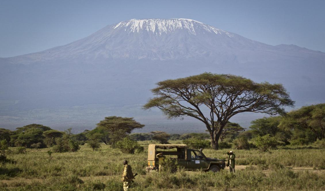 Den nyupptäckta vulkanen har samma form som Kilimanjaros vulkaner. Foto: Ben Curtis-arkivbild