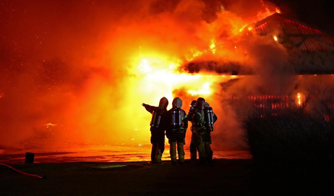 Flera kor dog i en brand på naturbruksgymnasiet i Vreta. Foto: Jeppe Gustafsson/TT