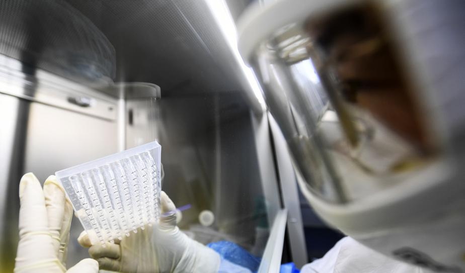 Svenskar som suttit i frivillig karantän får lämna den på söndagen, efter två veckor. Arkivbild från kinesiskt laboratorium där det utförs tester av det nya coronaviruset. Foto: Chinatopix via AP/TT