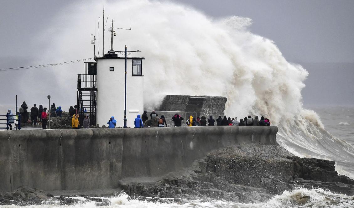 Höga vågor i hamnen Porthcawl i Wales när vinterstormen Dennis drog in. Foto: Ben Birchall/AP/TT