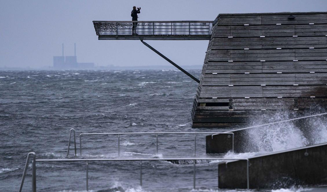 Stormen som drog in över landet på söndagen har mojnat. Foto: Johan Nilsson/TT