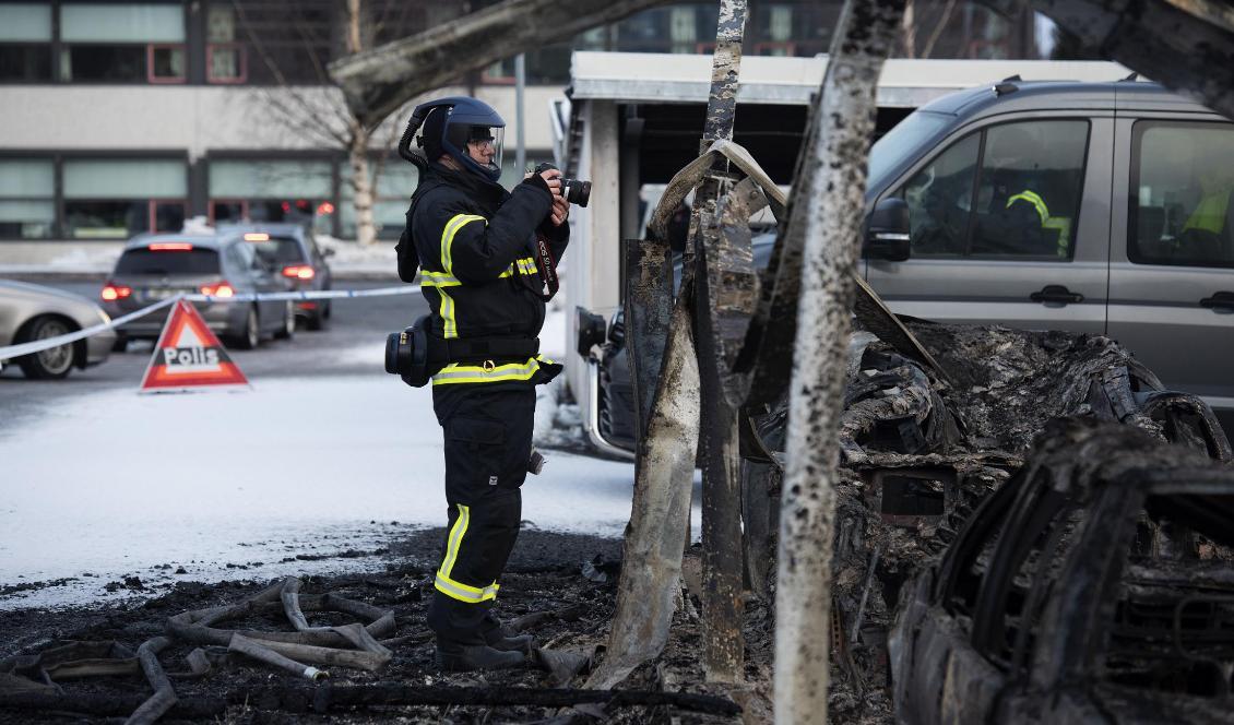 Ett 40-tal bilar förstördes i branden i stadsdelen Marieområdet i Umeå den 14 februari i år. Foto: Erik Abel/TT