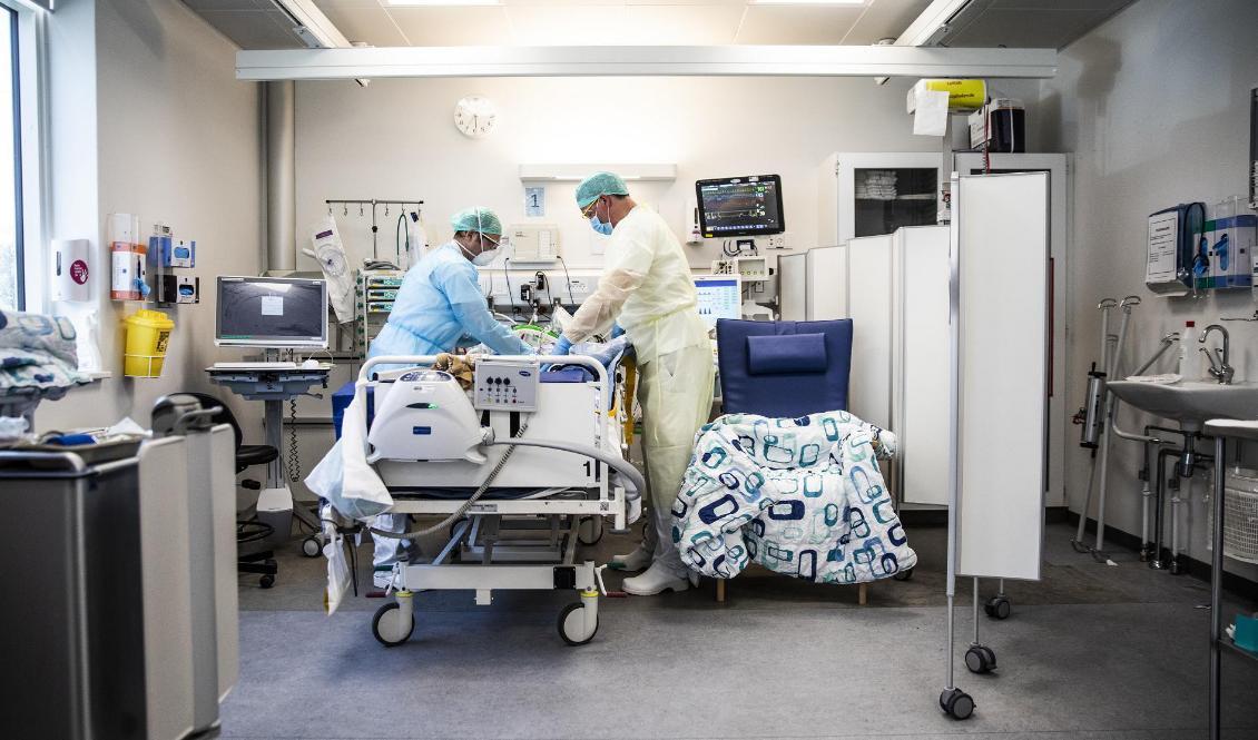 Vårdpersonal med en patient på intensivvårdsavdelningen på Bispebjerg sjukhus i Köpenhamn. Foto: lafur Steinar Gestsson/Ritzau/TT-arkivbild