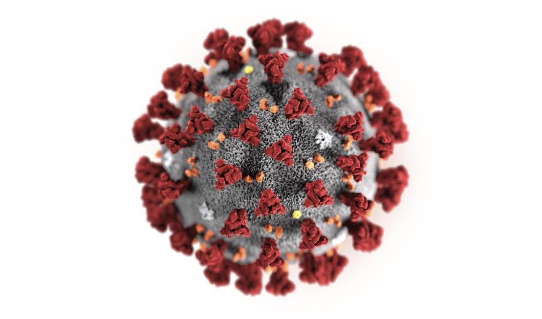 En illustration av coronaviruset. Foto: AP/TT-arkivbild