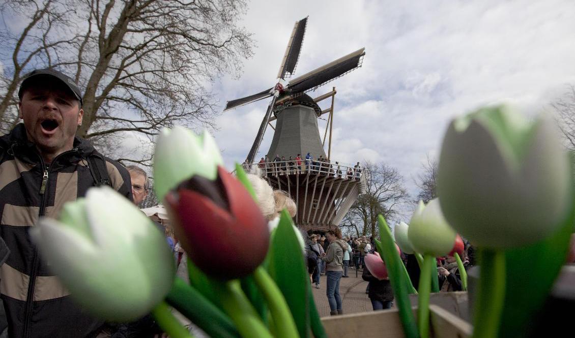 Fritt fram att resa till Nederländerna, enligt det svenska utrikesdepartementet. Foto: Peter Dejong/AP/TT-arkivbild