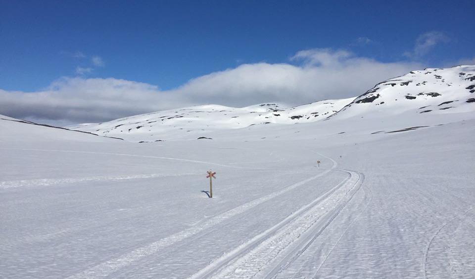 Snöläget i Viterskalet längs Kungsleden. Hemavan den 10 juni 2020. Foto: Mojo Andersson
