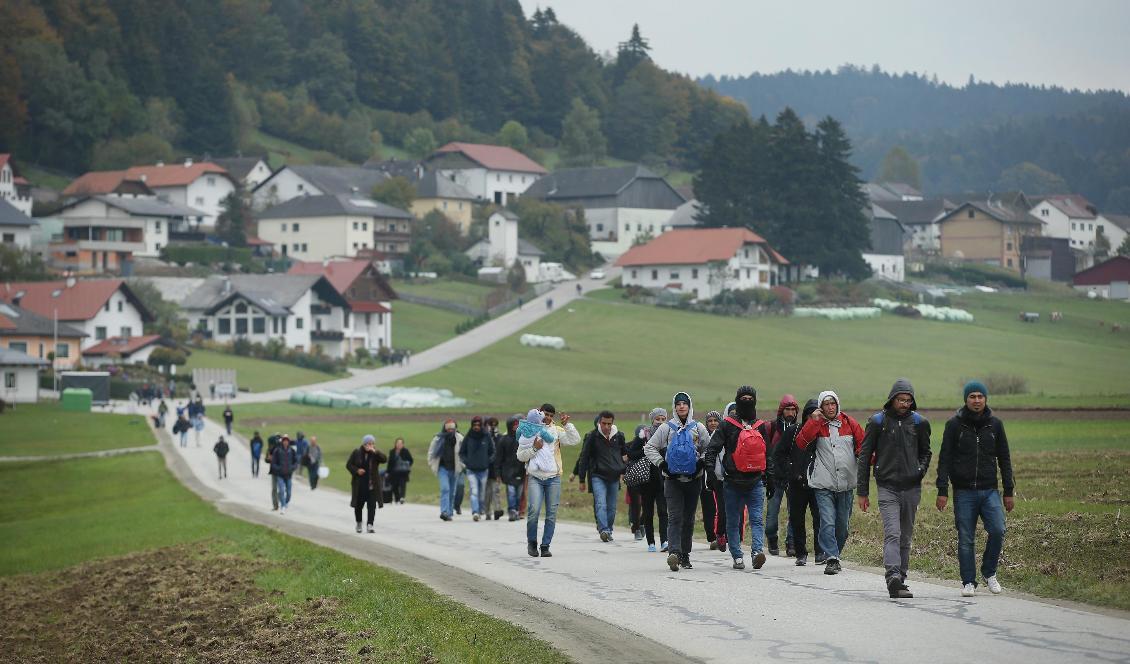 Migranter som befinner sig nära Mistlberg i Österrike går mot den tyska gränsen den 17 oktober 2015. Foto: Sean Gallup/Getty Images