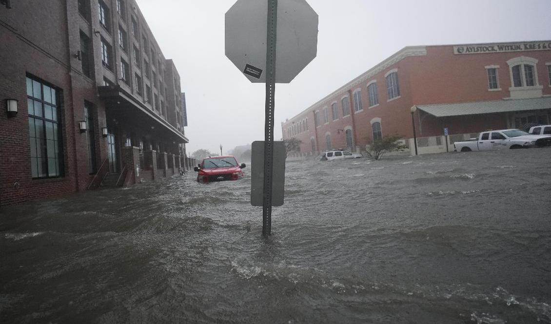 Översvämningar i ovädret Sallys framfart, här i Pensacola, Florida. Foto: Gerald Herbert/AP/TT