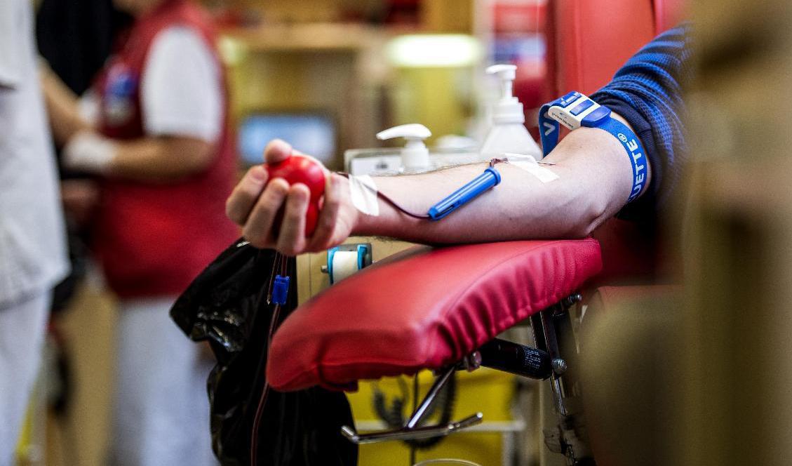 En blodbuss har stulits från ett garage i Stockholm. Arkivbild. Foto: Marcus Ericsson/TT