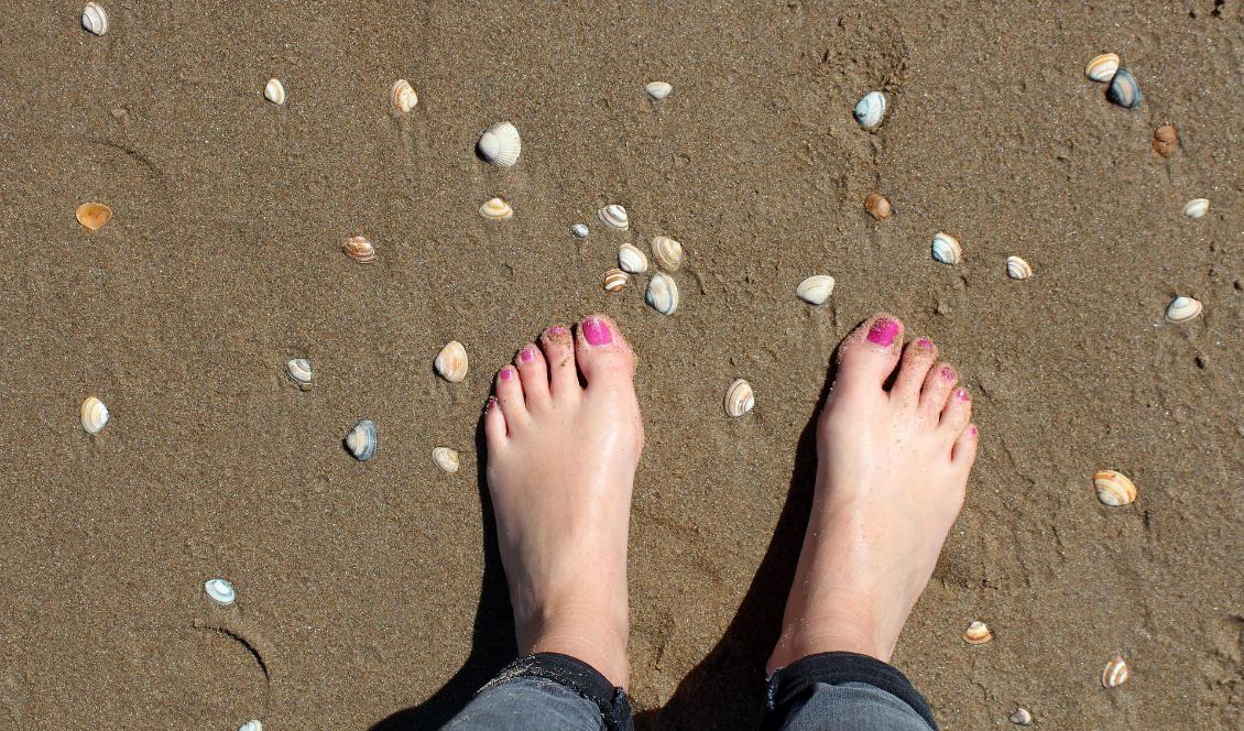 Foto: Maike och Björn Bröskamp/Pixabay