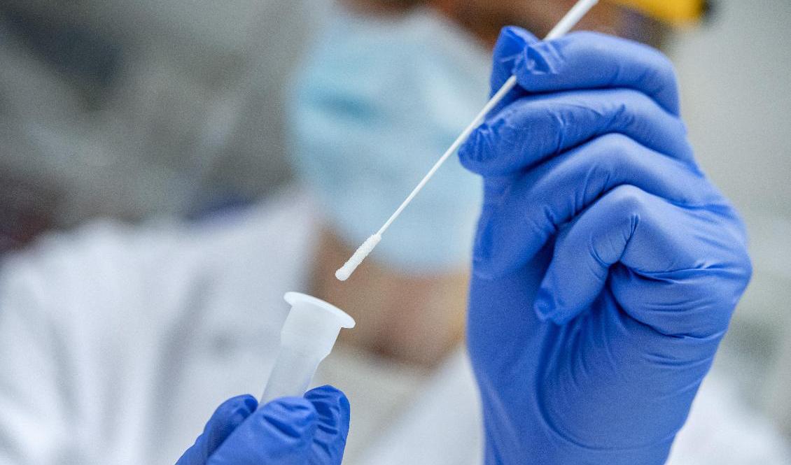 Kronobergs län höjer beredskapsläget till så kallat förstärkningsläge. Arkivbild. Foto: Johan Nilsson/TT