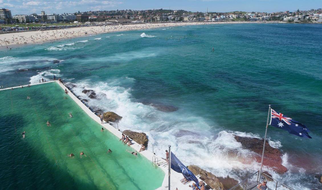 När säsongens första värmebölja i Australien pressar termometrar över 40-strecket är det många som väljer att svalka sig i havet som på populära Bondi Beach i Sydney. Arkivbild. Foto: Johanna Engman/TT