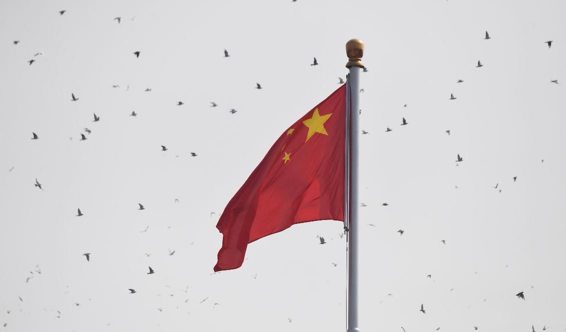 
Den kinesiska flaggan vid Himmelska fridens torg den 1 oktober 2019. Foto: Greg Baker/AFP via Getty Images                                            