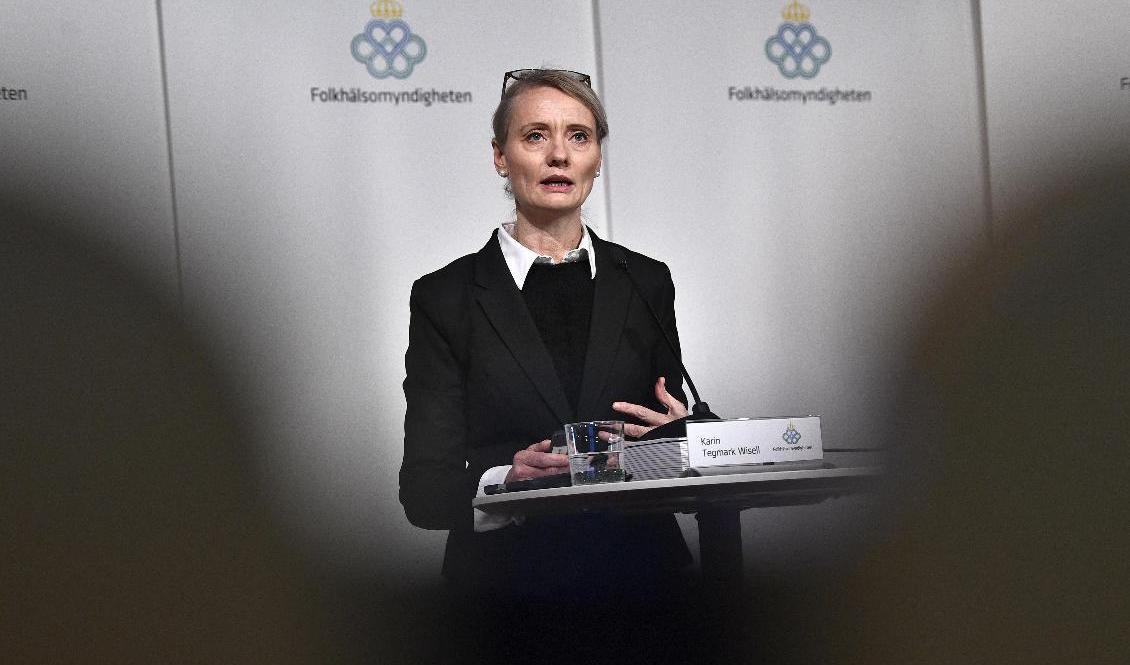 Karin Tegmark Wisell, avdelningschef, Folkhälsomyndigheten, under torsdagens pressträff med Folkhälsomyndigheten och andra myndigheter. Foto: Claudio Bresciani/TT