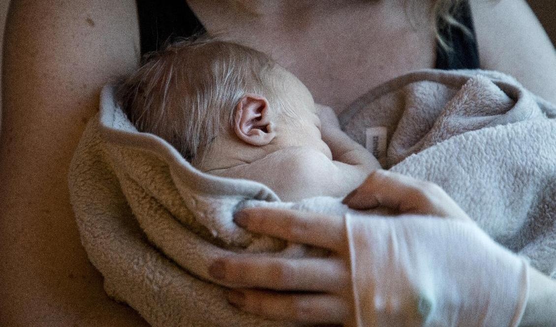 En nyfödd bebis. Arkivbild. Foto: Christine Olsson/TT