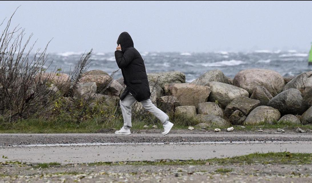 Håll i huvan! SMHI har utfärdat en klass 1 varning för hårda vindbyar i framför allt kustlandskapen. Arkivbild. Foto: Johan Nilsson/TT
