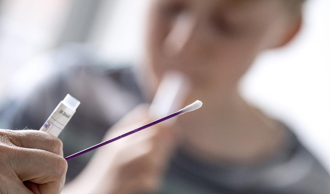 Ett barn provtas för covid-19. Arkivbild. Foto: Johan Nilsson/TT