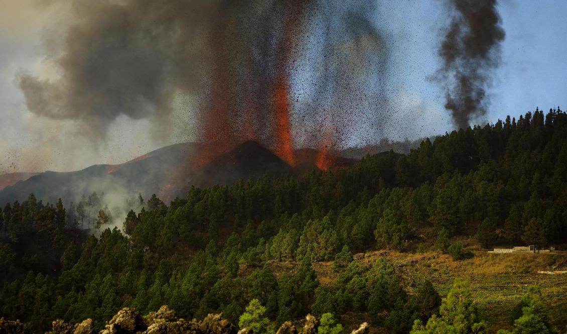 Lava skjuter upp från vulkanen Cumbre Vieja på kanarieön La Palma. Utbrottet startade på söndagseftermiddagen. Foto: Jonathan Rodriguez/AP/TT